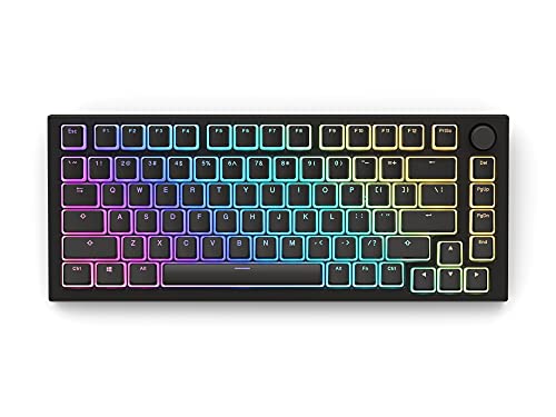 Glorious Aura V2 (Black) - PBT Pudding Keycaps for Mechanical Keyboards - ANSI (US), ISO Compatible - Supports Full Size, TKL, 75%, 60% Layouts