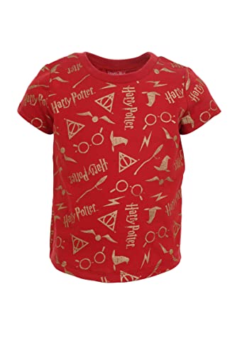 Harry Potter Hogwarts Big Girls 3 Pack T-Shirts Red/Black/Grey 18-20