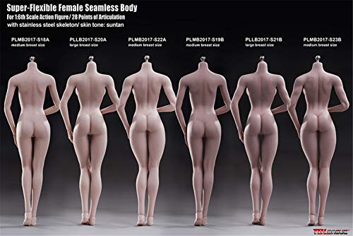 HiPlay TBLeague 1/6 Scale 12 inches Female Super Flexible Seamless Figure Body, Muscular Body Type, Large Bust, Minature Collectible Action Figures (Suntan Skin, S21B (Muscular & Large Bust))