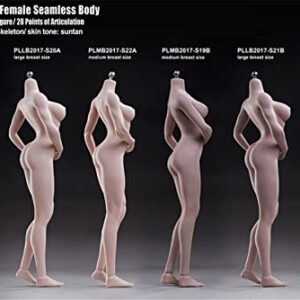 HiPlay TBLeague 1/6 Scale 12 inches Female Super Flexible Seamless Figure Body, Muscular Body Type, Large Bust, Minature Collectible Action Figures (Suntan Skin, S21B (Muscular & Large Bust))