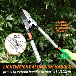Colwelt Extendable Anvil Loppers, Branch Cutter with Compound Action, Chops Thick Branches Ease, 27-41'' Heavy Duty Telescopic Ratchet Anvil Loppers, 2 Inch Clean Cut Capacity