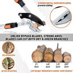 Colwelt Extendable Anvil Loppers, Branch Cutter with Compound Action, Chops Thick Branches Ease, 27-41'' Heavy Duty Telescopic Ratchet Anvil Loppers, 2 Inch Clean Cut Capacity