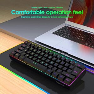 Snpurdiri 60% Wired Gaming Keyboard, RGB Backlit Ultra-Compact Mini Keyboard, Waterproof Small Compact 61 Keys Keyboard for PC/Mac Gamer, Typist, Travel, Easy to Carry on Business Trip(Black)
