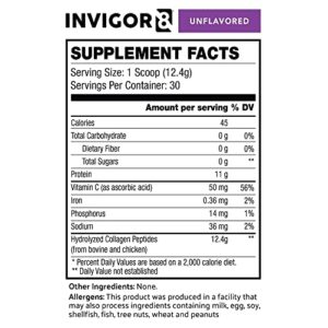 INVIGOR8 Superfood Shake (French Vanilla) Whey Protein Shake + Collagen Peptides + Fatburner Bundle