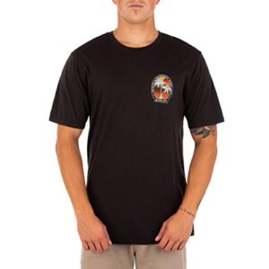 hurley men's everyday washed graphic t-shirt