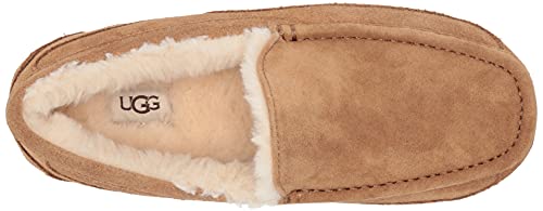 UGG Men's Ascot Slipper, Chestnut, 11 Wide