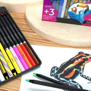 Indra Professional Colored Pencils Set, 12+3 Colored Art Drawing Pencils for Adults Kids Students Teachers Coloring Drawing Sketching Crafting