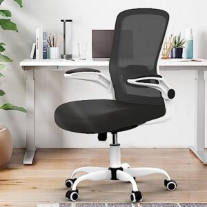 Office Chair, Ergonomic Desk Chair with Adjustable Lumbar Support, High Back Mesh Computer Chair with Flip-up Armrests-BIFMA Passed Task Chairs, Executive Chair for Home Office