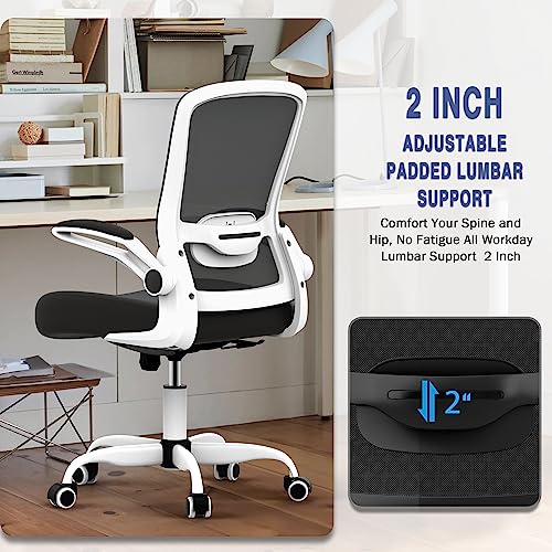 Office Chair, Ergonomic Desk Chair with Adjustable Lumbar Support, High Back Mesh Computer Chair with Flip-up Armrests-BIFMA Passed Task Chairs, Executive Chair for Home Office