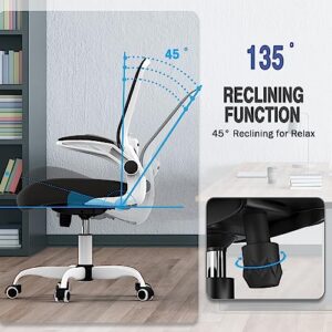 Office Chair, Ergonomic Desk Chair with Adjustable Lumbar Support, High Back Mesh Computer Chair with Flip-up Armrests-BIFMA Passed Task Chairs, Executive Chair for Home Office