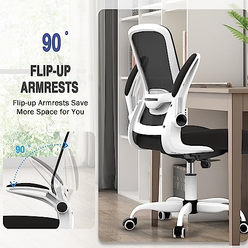 Office Chair, Ergonomic Desk Chair with Adjustable Lumbar Support, High Back Mesh Computer Chair with Flip-up Armrests-BIFMA Passed Task Chairs, Executive Chair for Home Office