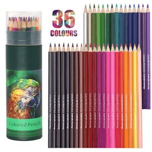 yoousoo colouring pencils,36 pcs professional coloured pencils drawing pencils, oil-based artist pencil set, no wax, ideal for sketching, doodling, painting, writing, pre-sharpened