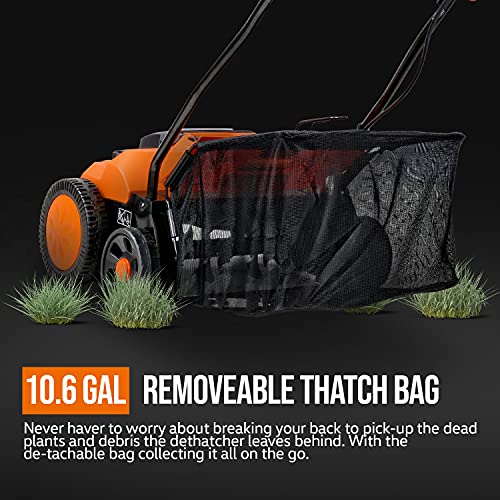 SuperHandy 2 in 1 Walk Behind Scarifier, Lawn Dethatcher Raker Cordless Electric 40V 2Ah 14.2-inch Rake Path with Collection Bag for Yard, Lawn, Garden Care, Landscaping