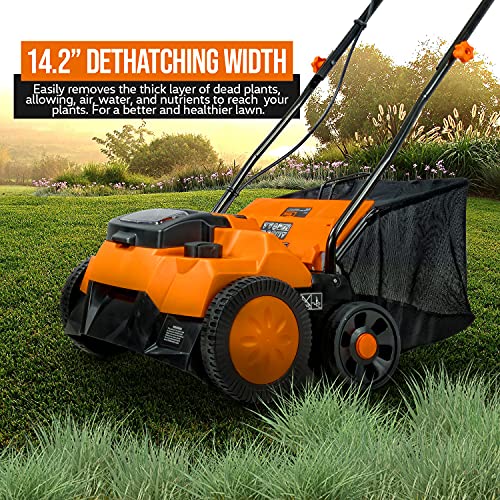 SuperHandy 2 in 1 Walk Behind Scarifier, Lawn Dethatcher Raker Cordless Electric 40V 2Ah 14.2-inch Rake Path with Collection Bag for Yard, Lawn, Garden Care, Landscaping