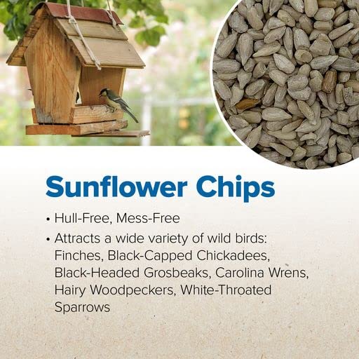 Blue Seal Feeds & Seeds-Sunflower Chips-5 Pound Bag