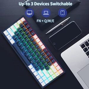 CQ84 Wireless Mechanical Gaming Keyboard, Compact 84 Keys, Programmable RGB Backlight, 60% Keyboard, Blue and White Keycaps for Ipad, Android/windows Tablet, Desktop, PC Gamer(Brown Switch)