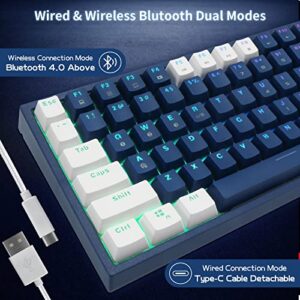 CQ84 Wireless Mechanical Gaming Keyboard, Compact 84 Keys, Programmable RGB Backlight, 60% Keyboard, Blue and White Keycaps for Ipad, Android/windows Tablet, Desktop, PC Gamer(Brown Switch)