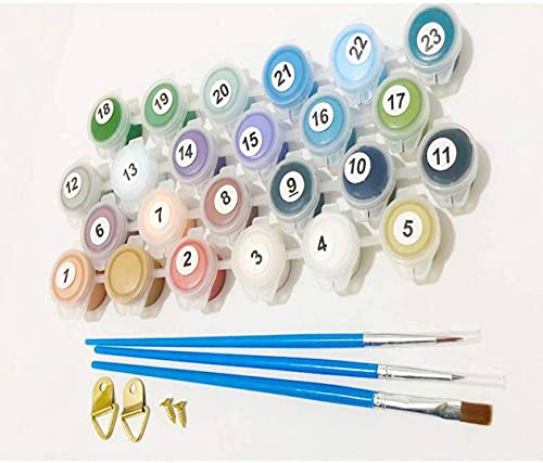 Paint by Numbers for Adults, 6 Pack Paint by Numbers for Kids Beginner Drawing Paintwork with Paintbrushes Cartoon Paint Canvas Oil Painting14X14inch