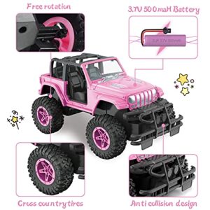 NQD Remote Control Car RC Racing Cars 1:16 Scale, 80 Min Play, 2.4Ghz Off Road Trucks with Storage Case, All Terrain Toys Gifts for 3-Year-Old Girls.