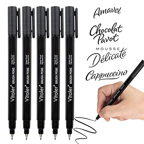 Vitoler Calligraphy Pens, Hand Lettering Pens, 5 Pack Black Ink Technical Pens For Beginners, Writing, Drawings, Sketching,Signature,Bullet Journaling,Caricature Illustration,Scrapbooking