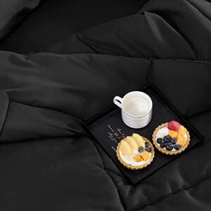 Sonive All Season Comforter Soft Fluffy Breathable Microfiber 200gsm Down Alternative Bedding Duvet Insert with 8 Corner Tabs Easy Care (Black, Queen)