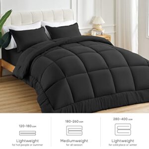 Sonive All Season Comforter Soft Fluffy Breathable Microfiber 200gsm Down Alternative Bedding Duvet Insert with 8 Corner Tabs Easy Care (Black, Queen)