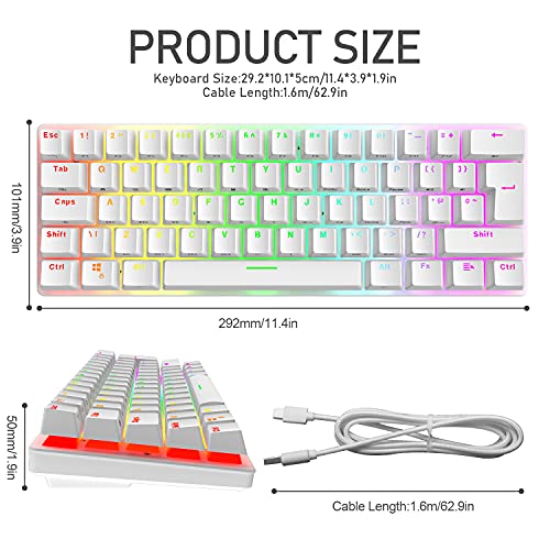 Compact 60% Mechanical Gaming Keyboard with Ergonomic Anti-ghosting Mini 61 Key Layout Rainbow RGB Backlight Waterproof Metal Plate Type-C USB Wired for PC Mac Gamer Office Typist (White/Blue Switch)