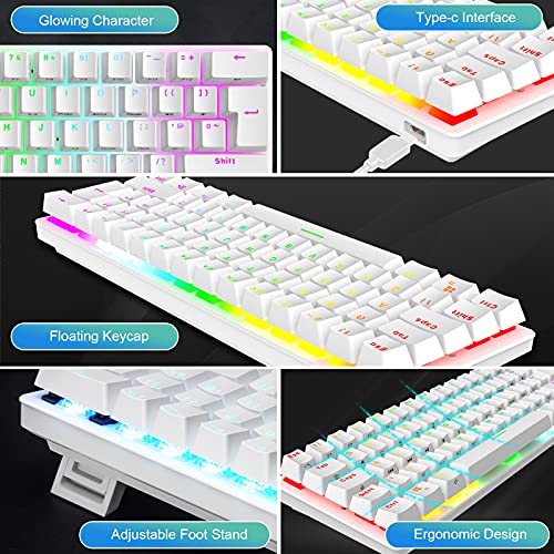 Compact 60% Mechanical Gaming Keyboard with Ergonomic Anti-ghosting Mini 61 Key Layout Rainbow RGB Backlight Waterproof Metal Plate Type-C USB Wired for PC Mac Gamer Office Typist (White/Blue Switch)