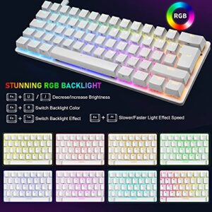 Compact 60% Mechanical Gaming Keyboard with Ergonomic Anti-ghosting Mini 61 Key Layout Rainbow RGB Backlight Waterproof Metal Plate Type-C USB Wired for PC Mac Gamer Office Typist (White/Blue Switch)