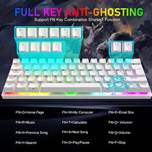 Compact 60% Mechanical Gaming Keyboard with Ergonomic Anti-ghosting Mini 61 Key Layout Rainbow RGB Backlight Waterproof Metal Plate Type-C USB Wired for PC Mac Gamer Office Typist (White/Blue Switch)
