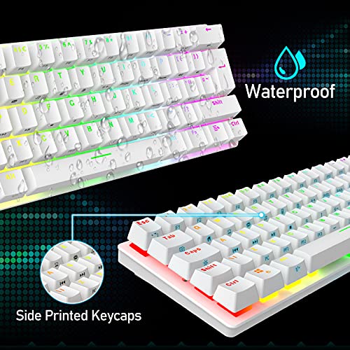 Compact 60% Mechanical Gaming Keyboard with Ergonomic Anti-ghosting Mini 61 Key Layout Rainbow RGB Backlight Waterproof Metal Plate Type-C USB Wired for PC Mac Gamer Office Typist (White/Blue Switch)