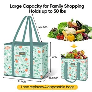 BALEINE 3Pk Reusable Grocery Bags, Foldable Shopping Bags for Groceries with Reinforced Bottom & Handles (Spring Stroll)