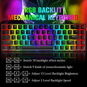 LexonElec T8 60% Mechanical Gaming Keyboard, RGB Backlit Compact Mechanical Keyboard, Blue Switches, Spill Resistant, Customizable Key Macro Function, for PC Gamers and Office Typists (Black)