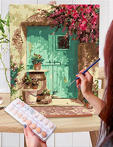 eniref Paint by Numbers for Adults Beginner Blue Door with Flower , Acrylic Paint Kits Home Decor 16X20Inch