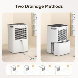 2500 Sq. Ft 30 Pint Dehumidifier, Dehumidifiers for Home Basement with Drain Hose, COLAZE Dehumidifiers for Large Room with Auto or Manual Drain, 24 Hours Timer, 0.58 Gallon Water Tank, Auto Defrost, Overflow Protection