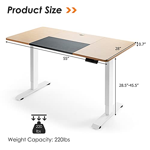 ERGOMASTER Electric Adjustable Standing Desk Home Office sit Stand Motor Height Adjustable Computer desks Table with Splice Tabletop for Working Gaming 55 x 28 inch