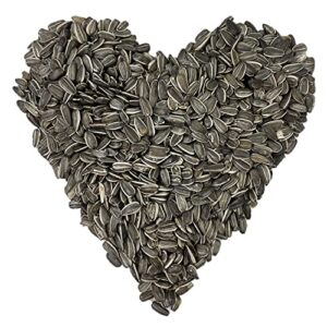 executive deals grey striped sunflower bird seeds & wildlife feed - 5lbs (double-sealed)