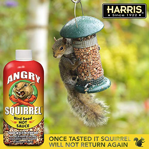 HARRIS Angry Squirrel Bird Seed Hot Sauce, 8oz, for Up to 35 Pounds of Bird Seed, 2-Pack