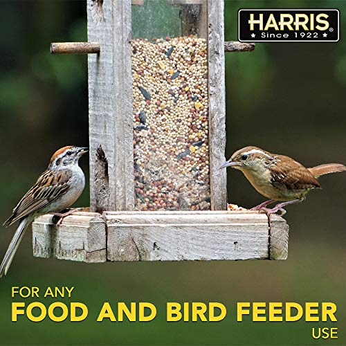 HARRIS Angry Squirrel Bird Seed Hot Sauce, 8oz, for Up to 35 Pounds of Bird Seed, 2-Pack