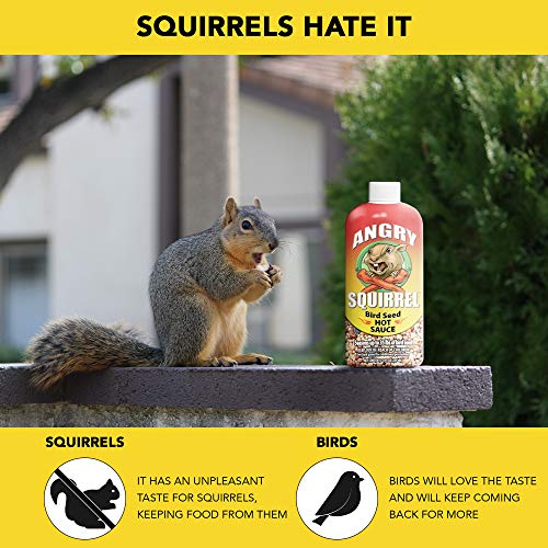 HARRIS Angry Squirrel Bird Seed Hot Sauce, 8oz, for Up to 35 Pounds of Bird Seed, 2-Pack