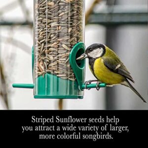 Desert Valley Premium Striped Sunflower Seed - Wild Bird - Wildlife Food, Cardinals, Squirrels, Jays & More (3-Pounds)