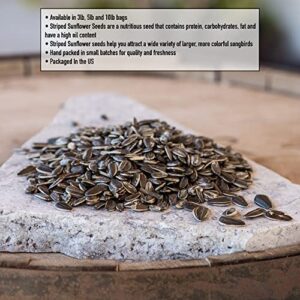 Desert Valley Premium Striped Sunflower Seed - Wild Bird - Wildlife Food, Cardinals, Squirrels, Jays & More (3-Pounds)