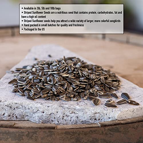 Desert Valley Premium Striped Sunflower Seed - Wild Bird - Wildlife Food, Cardinals, Squirrels, Jays & More (3-Pounds)