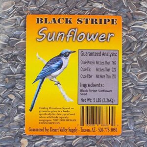 Desert Valley Premium Striped Sunflower Seeds - Wild Bird - Wildlife Food, Cardinals, Squirrels, Jays & More (5-Pounds)