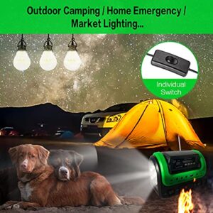 Solar Generator - Portable with Panel, Solar Power Generators Station Flashlight, Emergency Powered for Home Use Camping Hunting Emergency(Green)