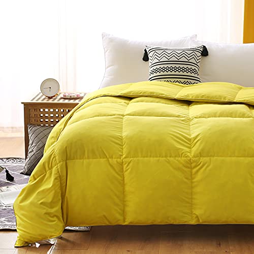 BPC Twin Size Down Comforter - Goose Duck Down and Feather Filling - Soft Brushed Microfiber Fabric-All Season Feather Down Comforter Duvet Cover with Cover Tabs Duvet Insert