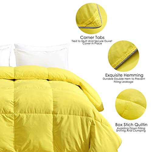 BPC Twin Size Down Comforter - Goose Duck Down and Feather Filling - Soft Brushed Microfiber Fabric-All Season Feather Down Comforter Duvet Cover with Cover Tabs Duvet Insert