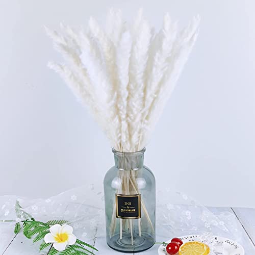 Pampas Grass Boho Home Decor, 75Pcs Natural Dried Carefully Hand-Picked Fluffy Pompas Grass 17", White & Brown Pampas Grass, Reed, Bunny Tails for Flower Arrangements Boho Wedding Home Décor