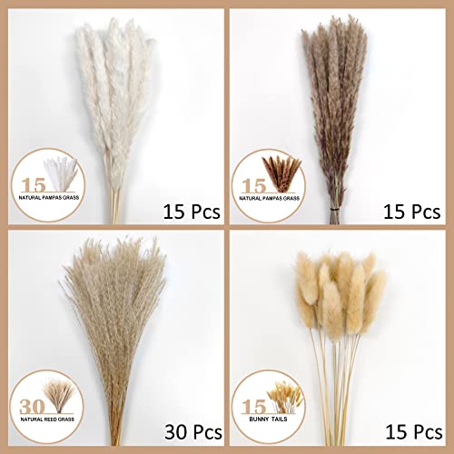 Pampas Grass Boho Home Decor, 75Pcs Natural Dried Carefully Hand-Picked Fluffy Pompas Grass 17", White & Brown Pampas Grass, Reed, Bunny Tails for Flower Arrangements Boho Wedding Home Décor