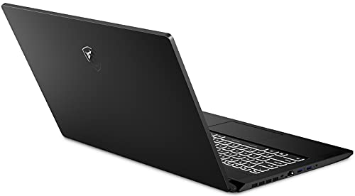 EXCaliberPC 2021 MSI Creator 17 B11UE-471 (i7-11800H, 16GB RAM, 512GB NVMe SSD, RTX 3060 6GB, 17.3" 4K UHD, Windows 10) Content Creation Laptop